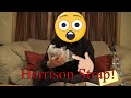 Harrison Strap Unboxing