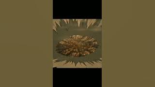 || Pain's Shinra Tensei || AMVs -- NARUTO ||