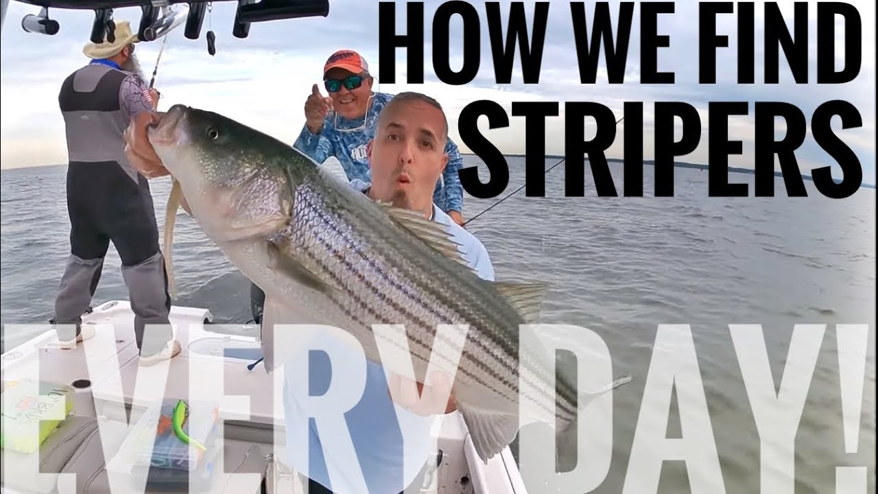 Striper BAITS and Simple TRICKS we use Every Day! It's all right