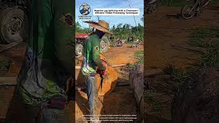 Massive Log Splitting with a Chainsaw | Efficient Timber Processing Techniques