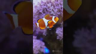 **Dive Deep Beneath the Sea of Code!**