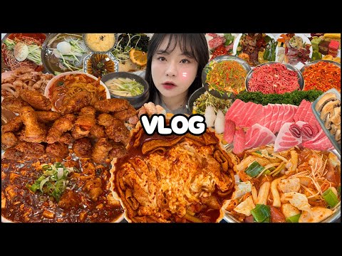 먹방브이로그? 일상브이로그!! 엽떡&허니콤보 먹방, 두끼 떡볶이 먹방, 짬뽕,탕수육,마파두부 중식 먹방, 참치 먹방, 냉면 먹방, 디저트 먹방, 울산부산맛집 MUKBANG VLOG