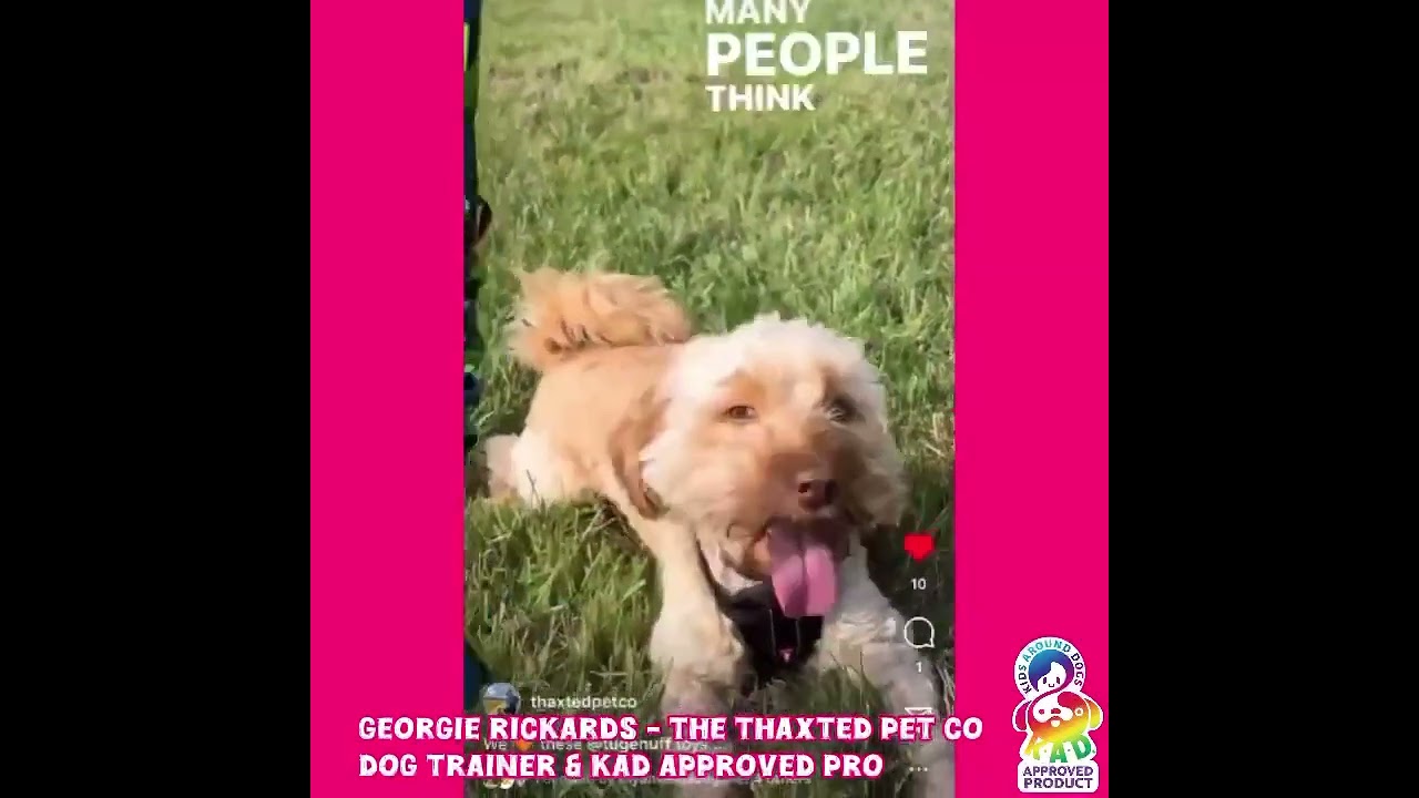 KAD Approved Pros review the Powerball Bungee by Tug-e-nuff!