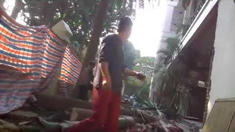 Dịch vụ Chặt Cây Xanh, Đốn Hạ Cây ở Hà Nội by Sân Vườn Phú Minh