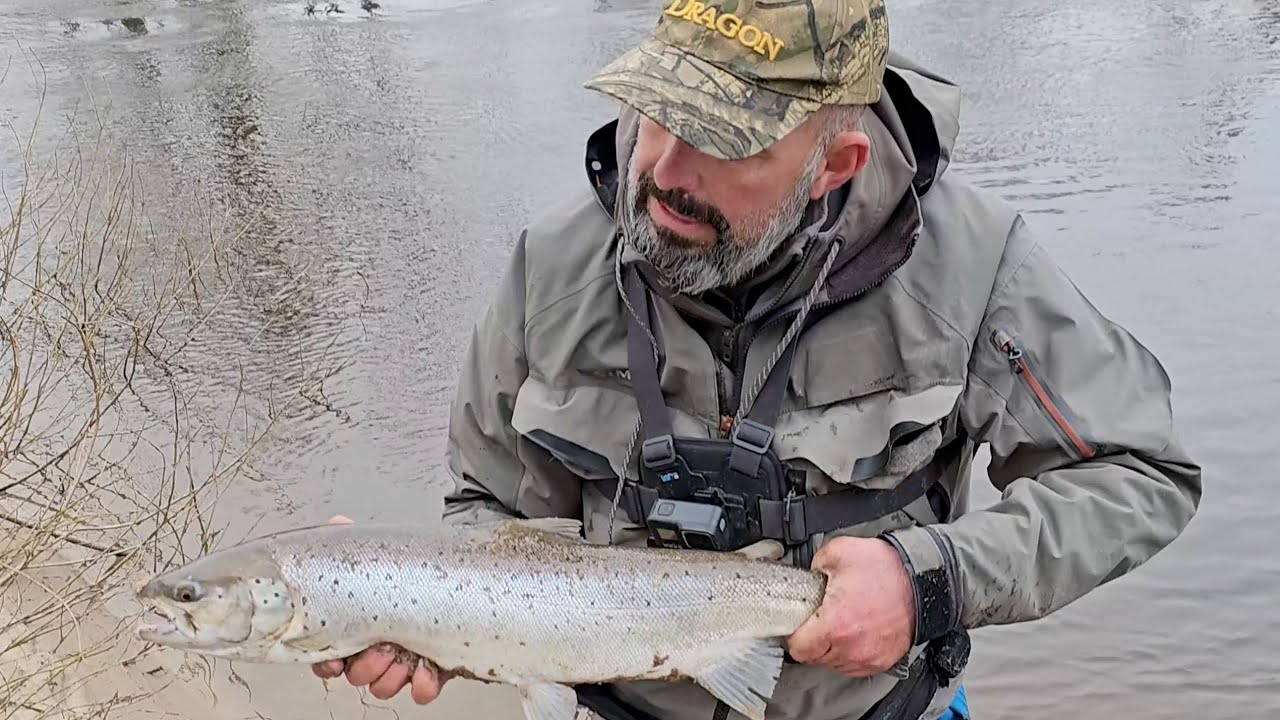 Trocie na twarde przynęty