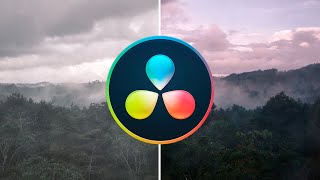 How to Use LUTs in Davinci Resolve | Quick Tutorial screenshot 3