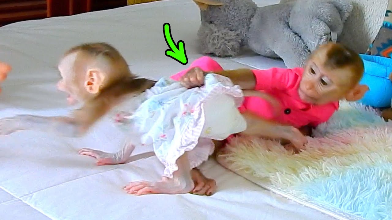 POLEE Pull JULIE Back To Sleep.