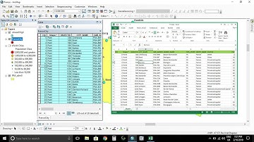 How to copy Attribute table data from ArcGIS  To Ms Excel