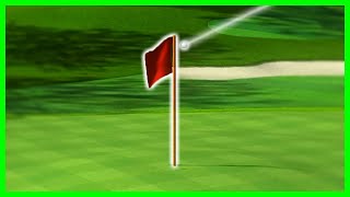 9-Hole Direct Flag Shot Chip-ins (Wii Sports Golf)