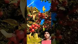 #fruit #mango aisi video dekhne ke liye subscribe Karen