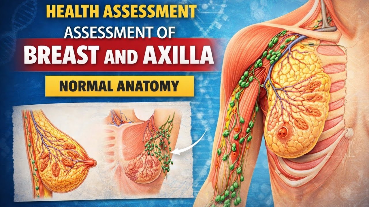 Anatomy of Breast and Axilla | Health Assessment Lecture for Nursing ...