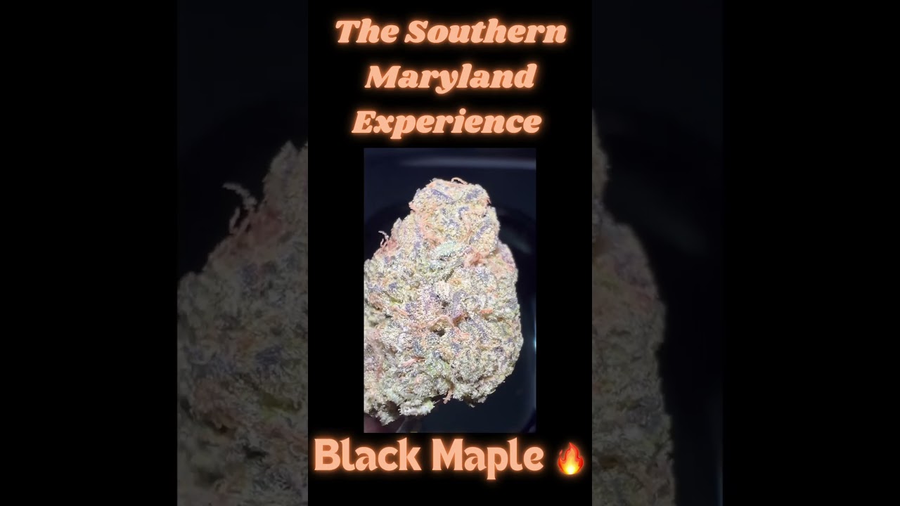 Check out Black  Maple🍁 from The Southern Maryland Experience ⛽️⛽️ 