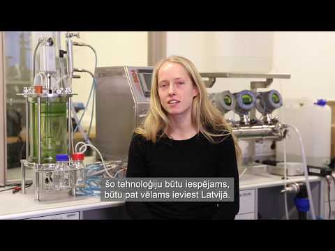 RTU zinātnieki izstrādā tehnoloģiju termoiepakojuma izgatavošanai no skuju koku zaleņa