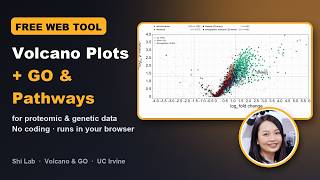 Free Web Tool for Omics Analysis: Volcano Plots + GO & Pathway Analysis | Shi Lab Volcano & GO