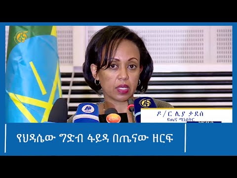 የህዳሴው ግድብ ፋይዳ በጤናው ዘርፍ