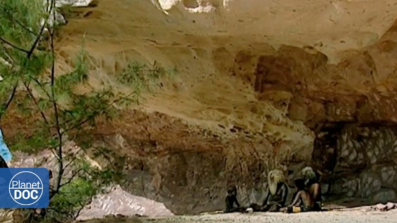 Conocemos a los aborígenes australianos llamados "Hombres del Quinto Mundo" (DOCUMENTAL COMPLETO)