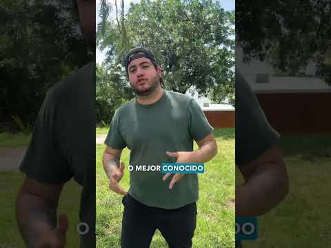 Why Do You Vomit Yellow Vomit Hangover Drunken Hangover Bile