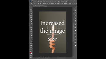 Difference between Free Transform and Selection Transform in Photoshop