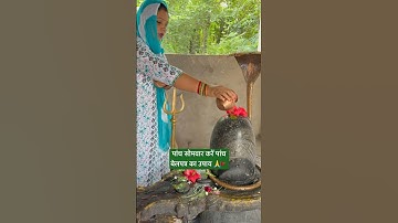 5 सोमवार करें पांच बेलपत्र का उपाय 🚩 #upay #pradeepmishrajidhankeupay #panditpradeepmishrasirowale