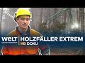 Knochenjob HOLZFÄLLER - Extremer Einsatz am Limit | HD Doku