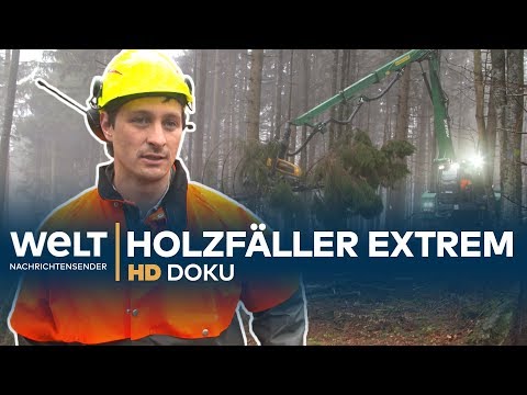 Video: Mechanischer Holzfäller