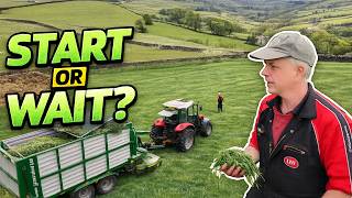 When Should We Start Zero Grazing? | Getting Ready for Fresh Grass
