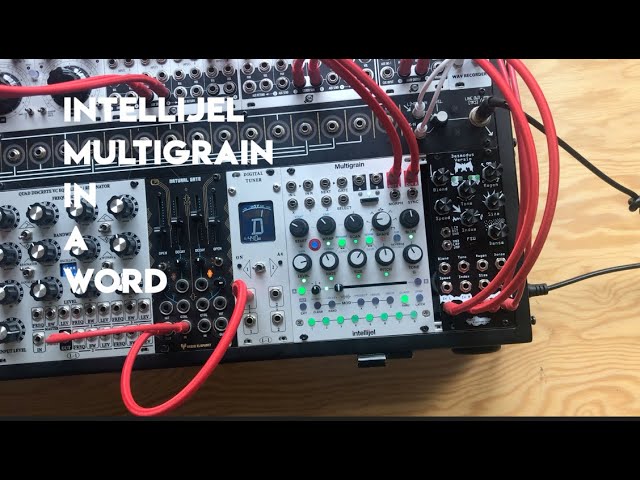 Bonjour Intellijel MultigrainIn a Word - YouTube