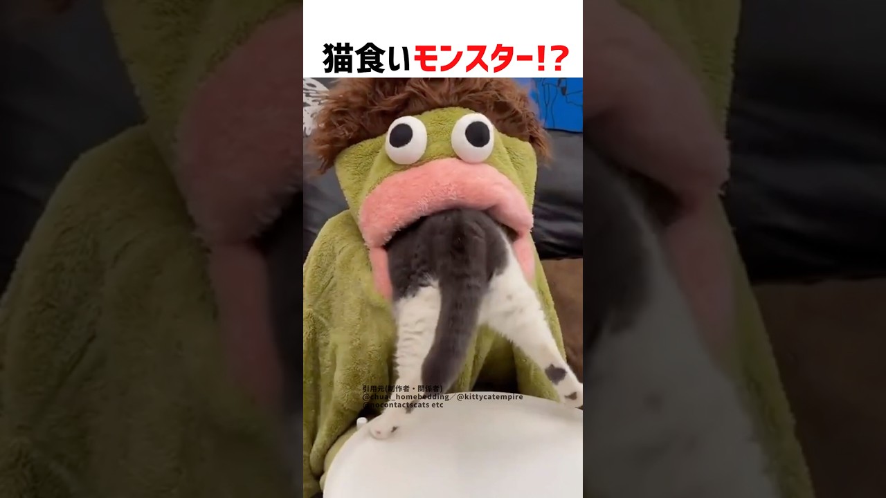 【海外でバズった！】猫を食べるモンスター！？ #ショート #猫 #かわいい #シュール #cat #shorts #funny #cute