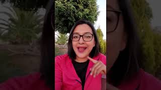 ¿Qué es la UDI y cuánto vale? ¿Qué es la UDI y cuánto vale?