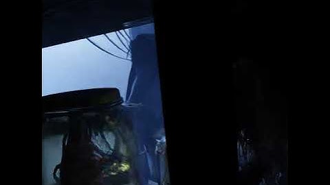 New Blender 2.81 alpha AI Denoiser test. Rendered in Cycles with 1 sample!