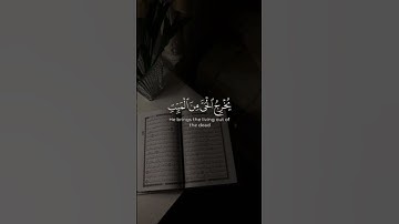 تلاوه من سورة الروم|بصوت الشيخ محمد اللحيدان🎧❤️ #trending #قرآن  #quran #راحة_نفسية #قران_كريم