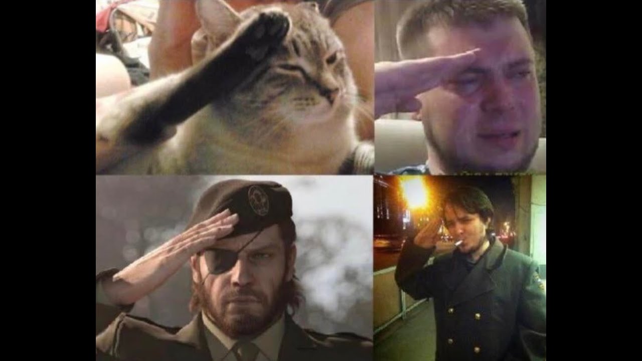 Глупый честь. F to pay respect коллаж. Press f to pay respect кот. Press f to respect Мем. Кот отдает честь.