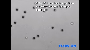 Cross-stream migration of active particles