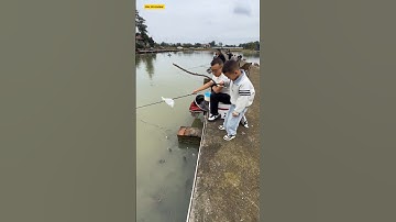 thua cả thằng trẻ con cay quá #fishing #cauca