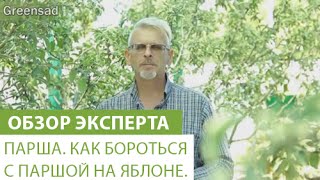 Парша. Как бороться с паршой на яблоне.(В этом видео наш эксперт расскажет Вам о парше. Купить средства защиты растений можно здесь http://greensad.ua/category/s..., 2015-08-14T16:28:54.000Z)