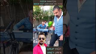 Grup Yi̇ği̇t Aney Urfa Bi̇reci̇k Mavi̇ Sofra Eğlence Programi̇nda Gsm 0545 351 73 64
