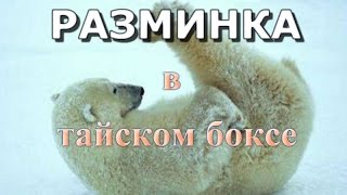 Разминка в тайском боксе.  Как грамонтно делать разминку?