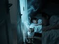 Can Cats See Spirits? | How Cats Protect Their Owners Spiritually &amp; Energetically