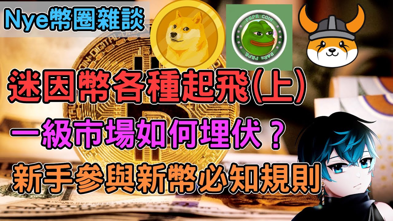 【幣圈雜談ep.4】各種迷因幣起飛漲瘋？千萬要切記這些事情 新手參與一級市場必須知道的規則！｜Nye加密貨幣