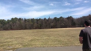 Bob Alberding / brushless mcpx - 2