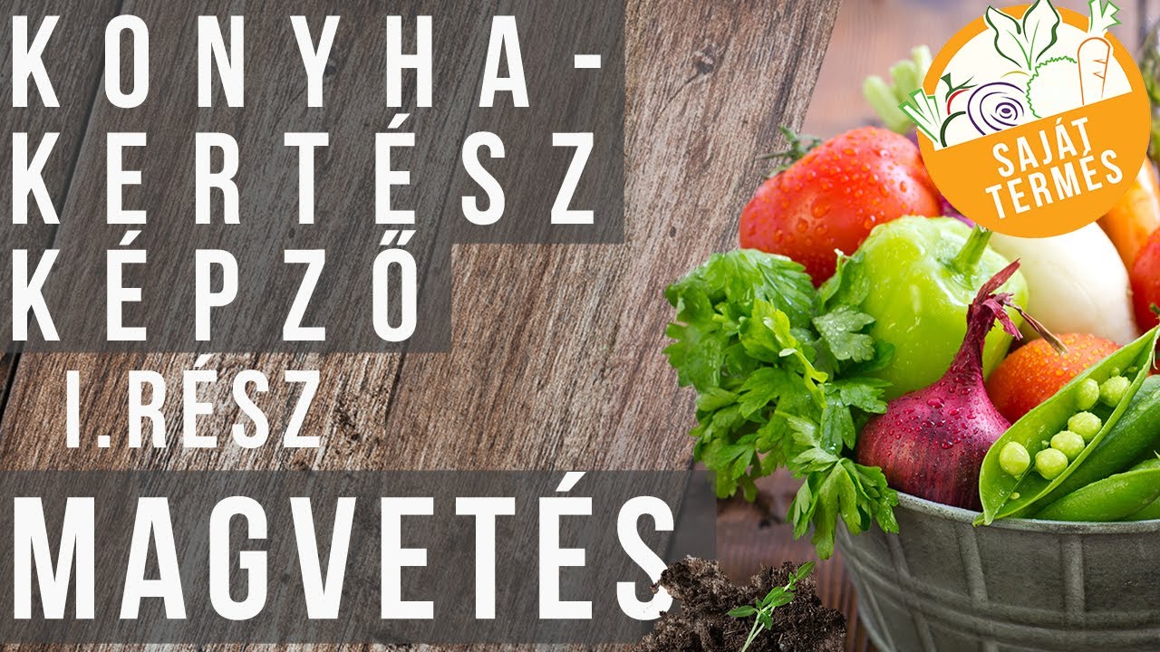 Konyha-kertész leszek - 1 rész: Magvetés