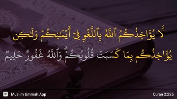 سوره بقره آیه 225