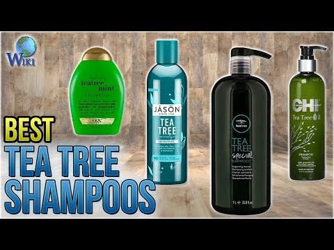 10 Best Tea Tree Shampoos 2018