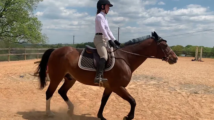 Elizabeth Whitehead on Max Rockatansky. USDF Intro...