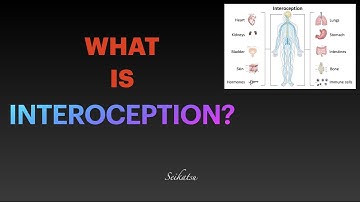 From A to Z -  I  -  Interoception (and Proprioception)