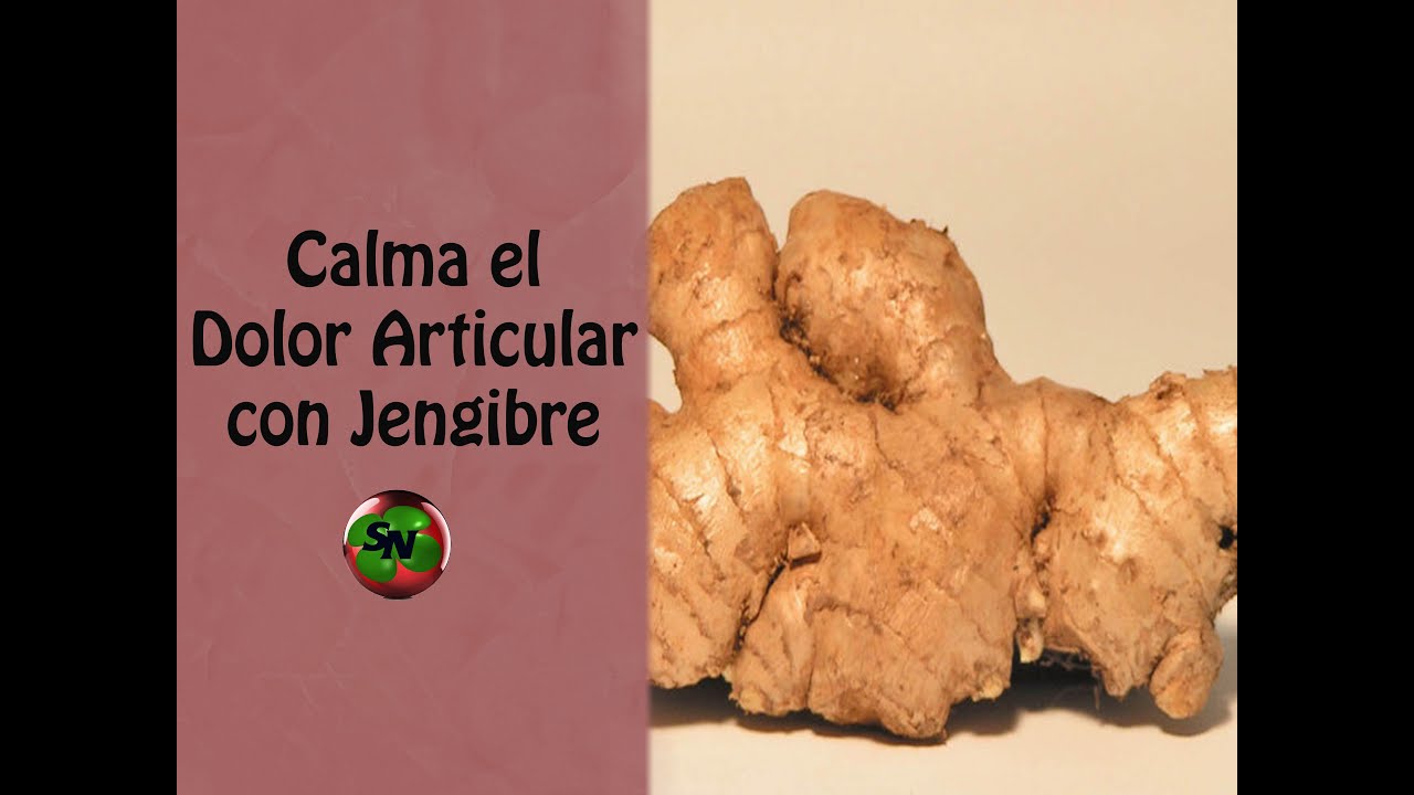 Artritis jengibre consumir para la como el