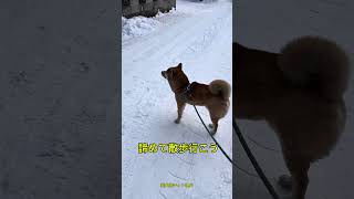 陸くんの鳥さんセンサーが反応