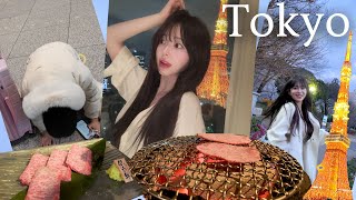 첫날부터 비행기 놓치고 지갑털린 도쿄 Vlog