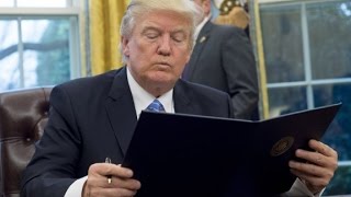 Trump freezes state EPA grants and contracts