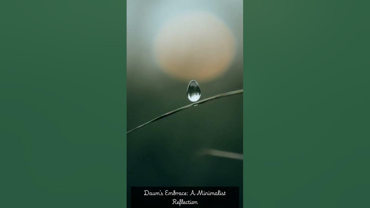 Dawn's Embrace: A Minimalist Reflection
